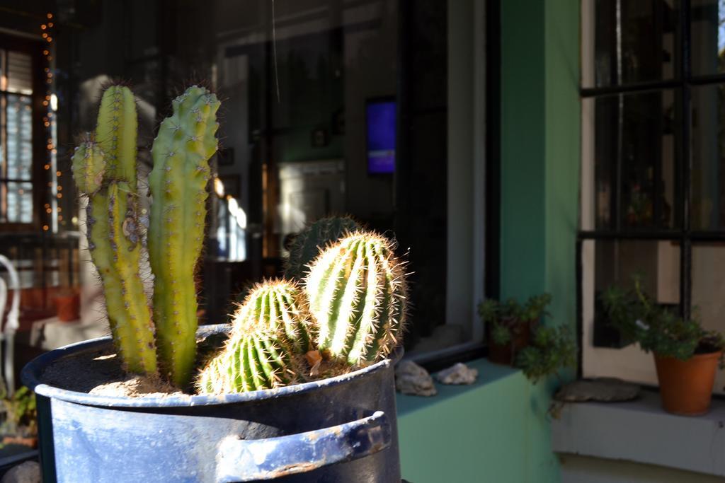 Hosteria Casa De Paula Trelew Kültér fotó